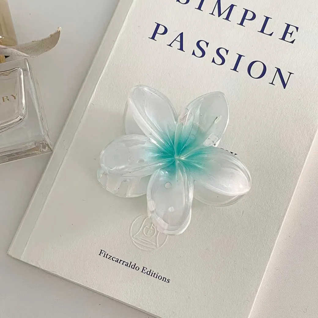 Gradient Flower Hair Clip Hair Claw Set