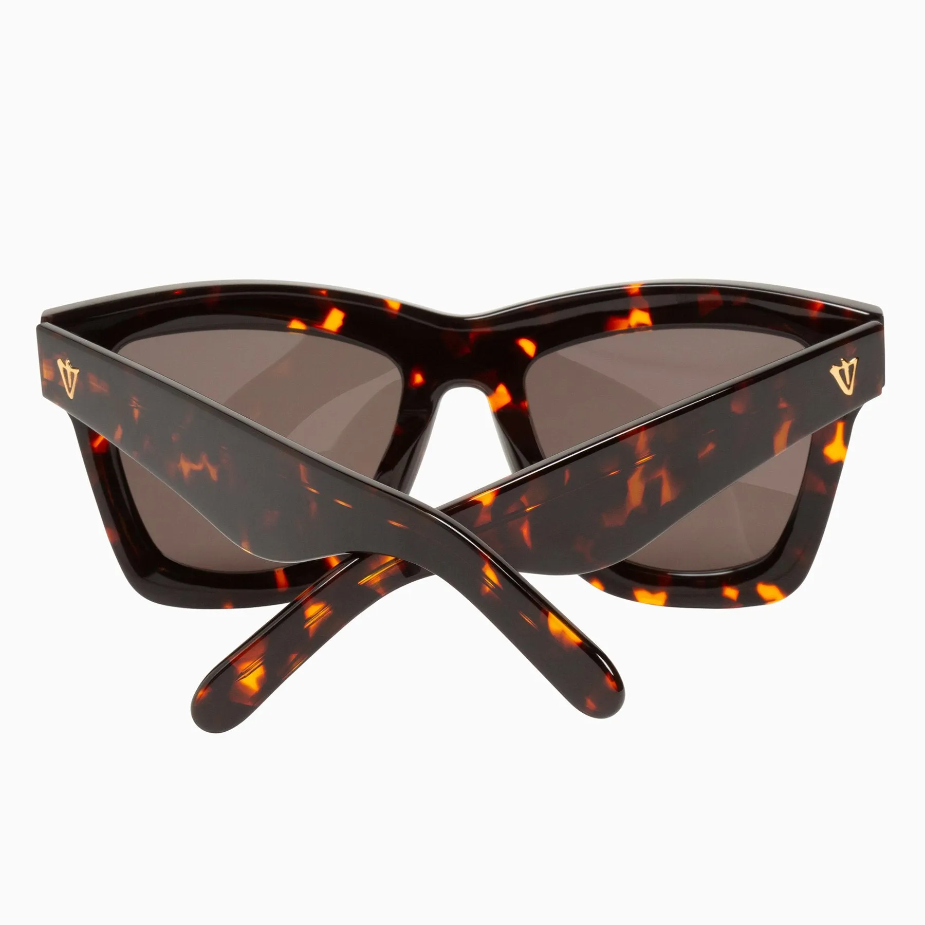Polarized DB / Dark Tort / Brown Lens