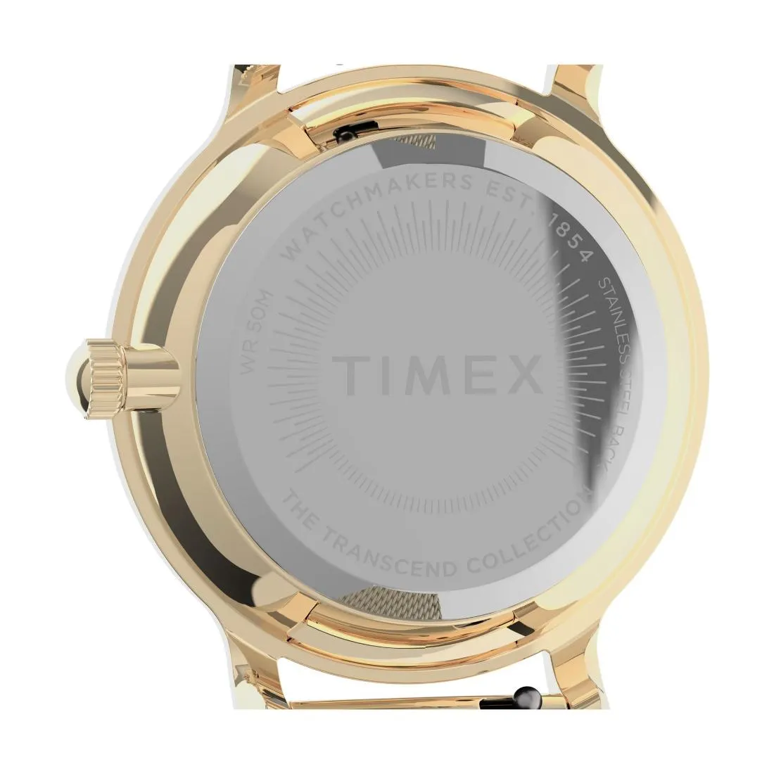 Timex Women 31 mm Size White Dial Analog Watch -TW2U86800
